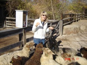 Engagement Night 024